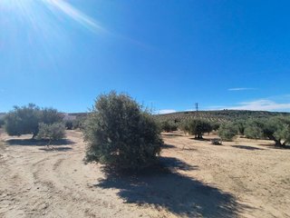 Solar en venta en Mengíbar