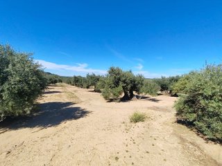 Solar en venta en Mengíbar