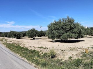 Solar en venta en Mengíbar