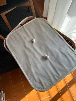 Cesto bambú plegable grande con tapa