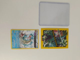 Carta Pokémon para Javi