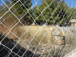 Terreno en venta en Caravaca de la Cruz