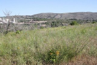 Solar en venta en Benissa