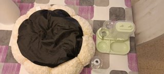 Leeby Sofá Cama y Comedero Mascota