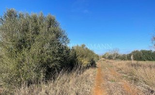 Solar en venta en Campos