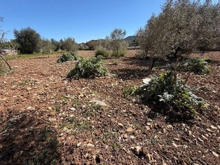 Terreno en venta en Capdepera