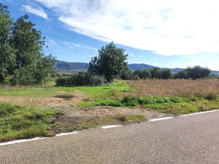 Terreno en venta en Ulldecona