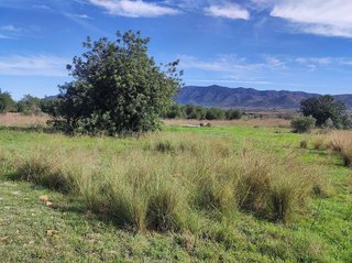 Terreno en venta en Ulldecona
