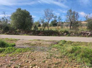 Terreno en venta en Ulldecona