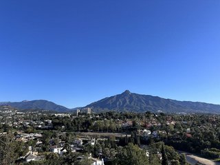 Oficina en alquiler en Nueva Andalucía centro en Marbella