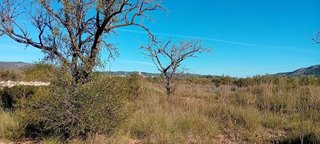 Terreno en venta en Alcalà de Xivert pueblo en Alcalà de Xivert