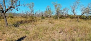 Terreno en venta en Alcalà de Xivert pueblo en Alcalà de Xivert