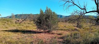 Terreno en venta en Alcalà de Xivert pueblo en Alcalà de Xivert