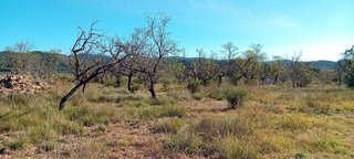 Terreno en venta en Alcalà de Xivert pueblo en Alcalà de Xivert
