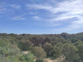 Terreno en venta en Can Pastilla - Les Meravelles - S'Arenal en Palma de Mallorca