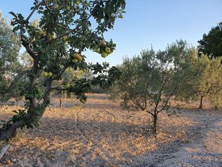Terreno en venta en Villajoyosa ciudad en Villajoyosa/Vila Joiosa (la)