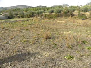 Terreno en venta en Caravaca de la Cruz
