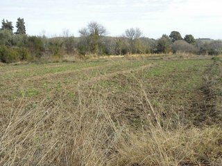 Terreno en venta en Caravaca de la Cruz