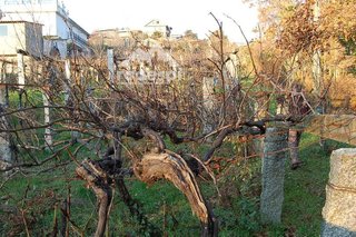 Terreno en venta en Ponteareas
