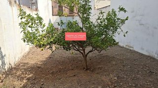 Terreno en venta en Quart de Poblet