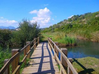 Local comercial en venta en Pego