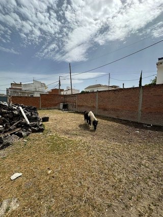 Terreno en venta en Mengíbar
