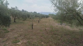 Solar en venta en Olleria (l´)