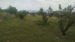 Solar en venta en Olleria (l´)