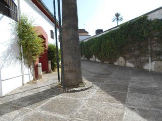 Restaurante en venta en Salteras