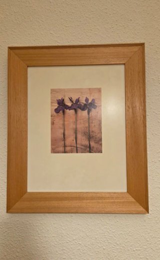 Conjunto de 2 Cuadros con Flores Moradas y Rojas