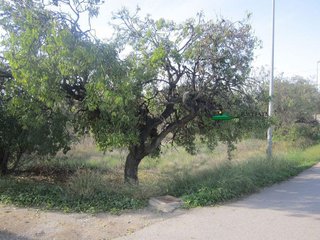 Solar en venta en Huércal-Overa