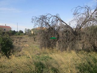 Solar en venta en Huércal-Overa