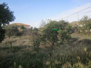 Solar en venta en Huércal-Overa