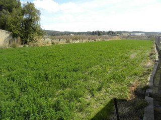 Terreno en venta en Caravaca de la Cruz