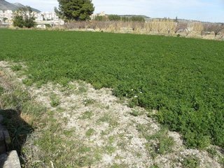 Terreno en venta en Caravaca de la Cruz