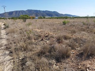 Terreno en venta en Caravaca de la Cruz
