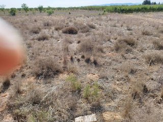 Terreno en venta en Caravaca de la Cruz