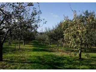Terreno en venta en Villaviciosa - Amandi en Villaviciosa