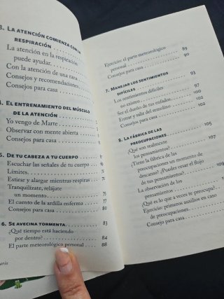 2x1 Tranquilos y Atentos Como una Rana La Meditaci