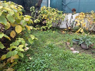Piso en venta en Mariñamansa en Ourense