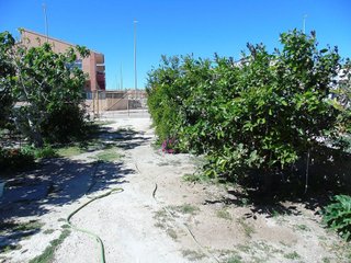 Nave industrial en venta en Ceutí