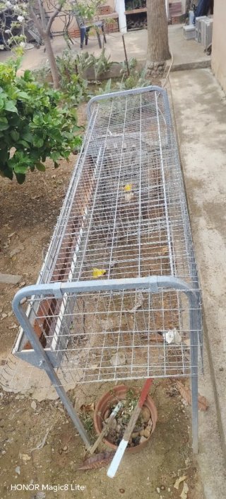 Jaula para 4 gallinas