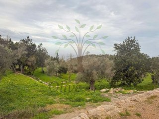 Chalet en alquiler en Sant Joan de Labritja