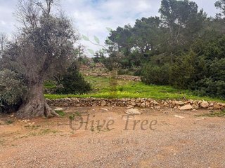 Chalet en alquiler en Sant Joan de Labritja