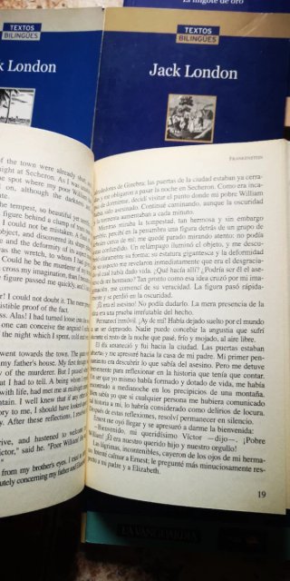 Lote de libros bilingües Inglés - Español