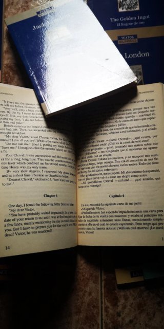 Lote de libros bilingües Inglés - Español