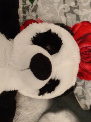 Peluche Panda Morbido