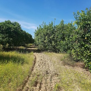 Terreno en venta en Villanueva del Ariscal