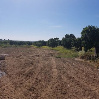 Terreno en venta en Villanueva del Ariscal