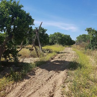 Terreno en venta en Villanueva del Ariscal